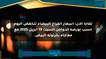 تفاجأ الآن: أسعار الفراخ البيضاء تنخفض اليوم حسب بورصة الدواجن السبت 19 أبريل 2025 مع مفاجأة بكرتونة البيض.